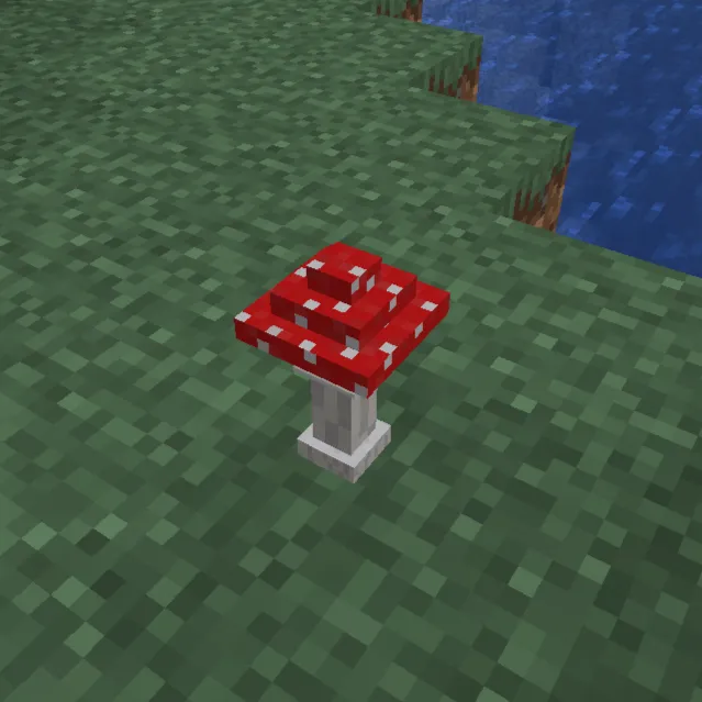 Extra Mushroom Models