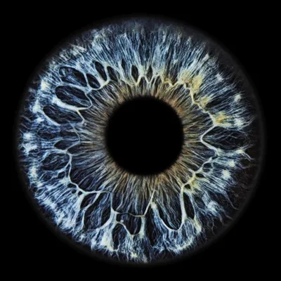 EZS Eyes