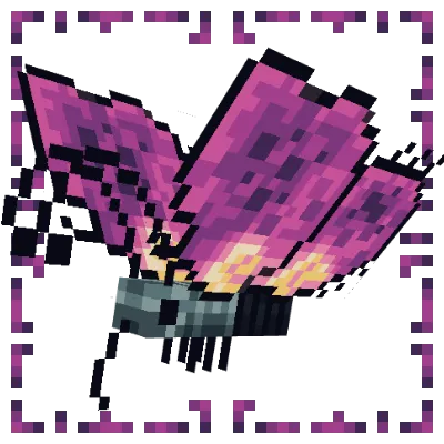 Butterflies Expansion!