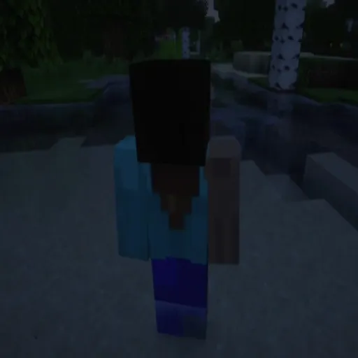 Distorted Steve Reimagined