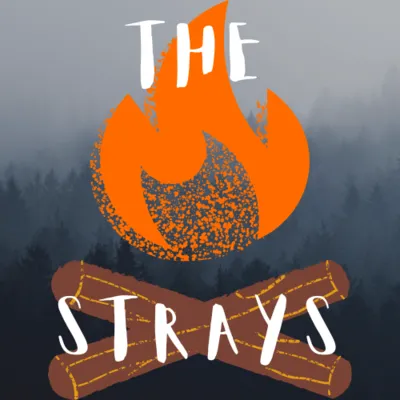 The Strays SMP 1.20.1