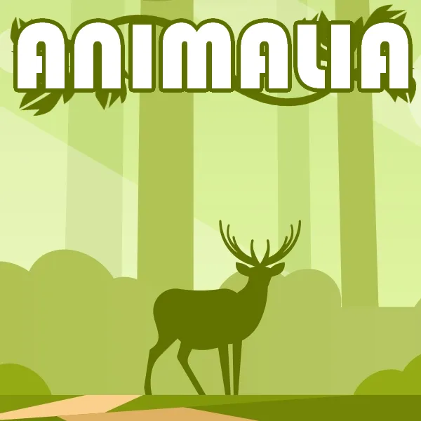 ANIMALIA: Adventures in Nature