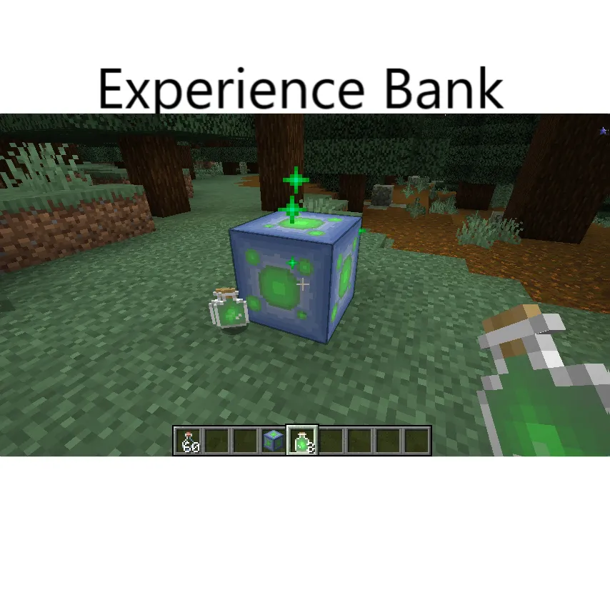 Experience Bank