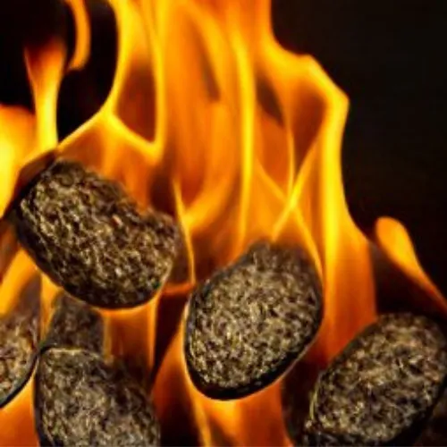 Seed Burn