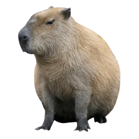 Capybaras [Forge]