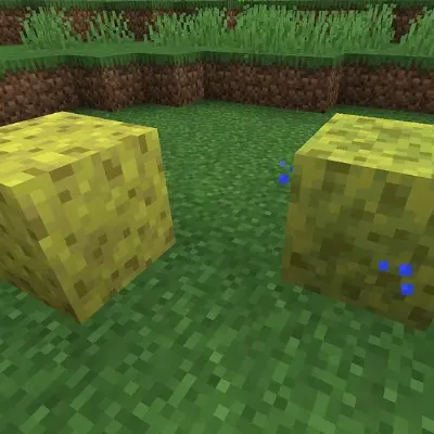 the sponge crafting