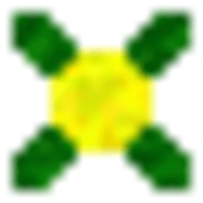 The Bulbus Infection