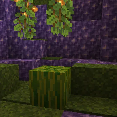 Pastèque Rayonnante