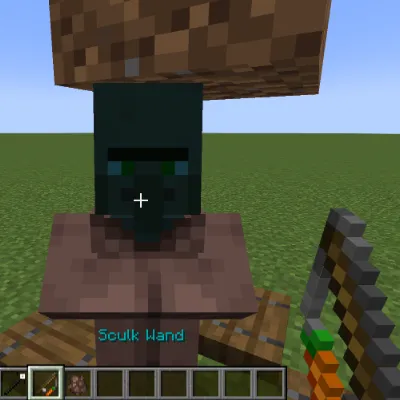 Wand Of The Wardens Curse