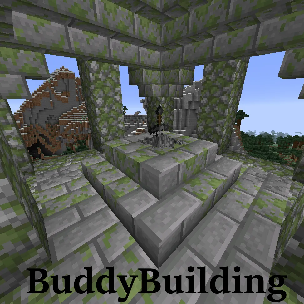BUDDYBUILDING