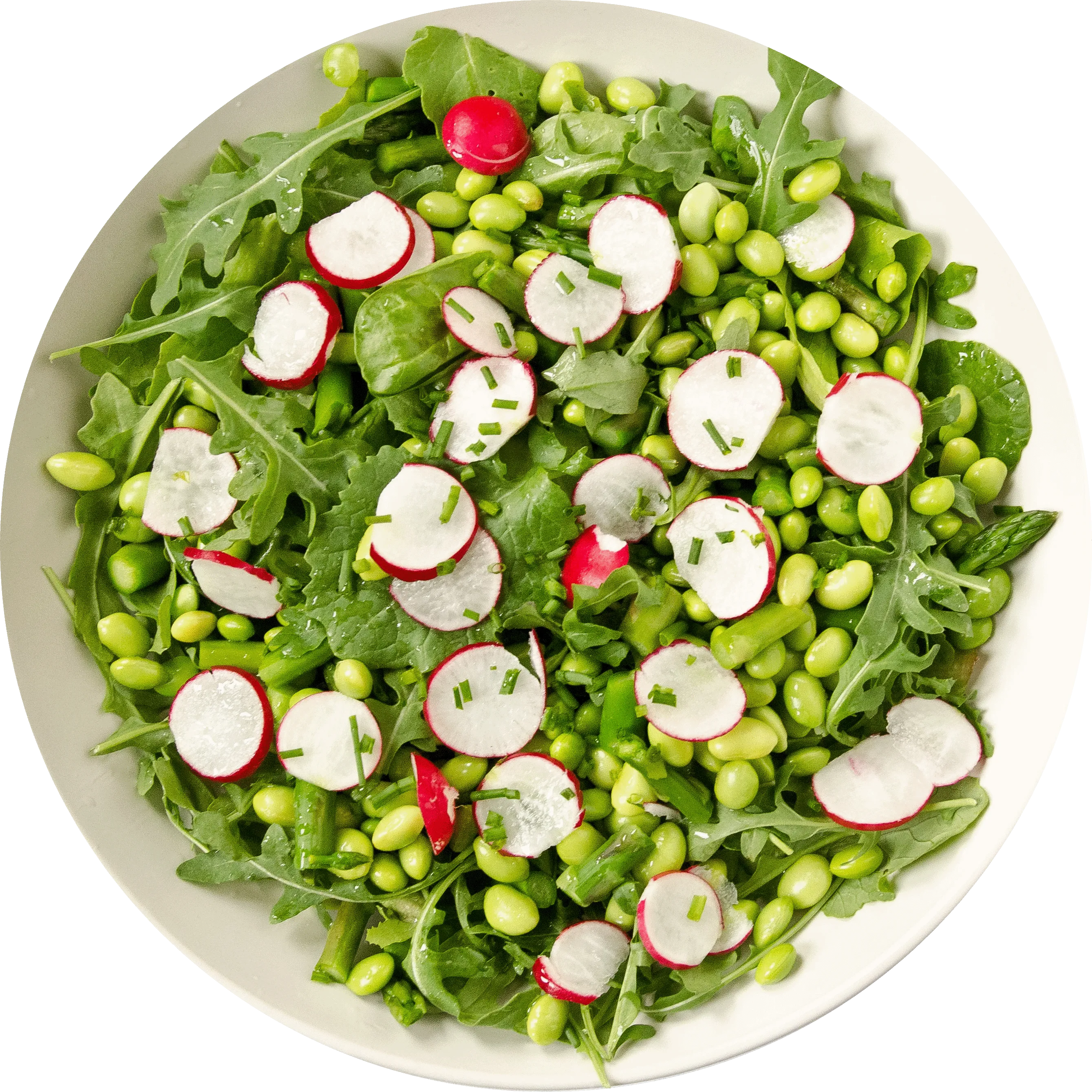 Spring Salad