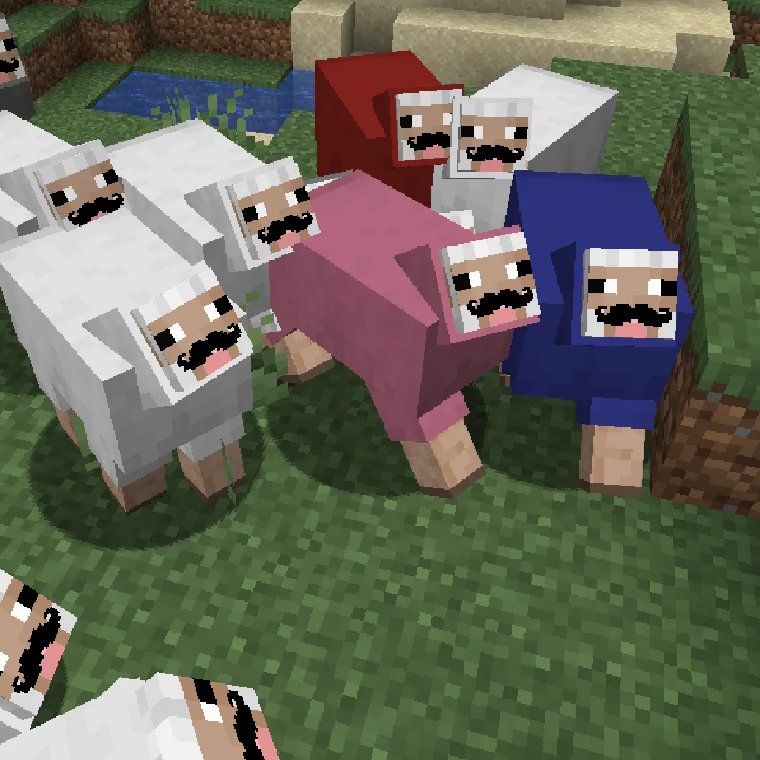 Mustache Sheep