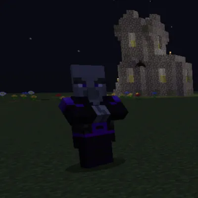 Followers of the Wither Storm (sdtw)