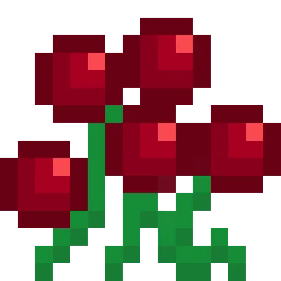 Berries-Ultra
