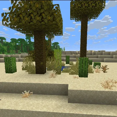 Oasis Reborn – Desert Oasis Worldgen