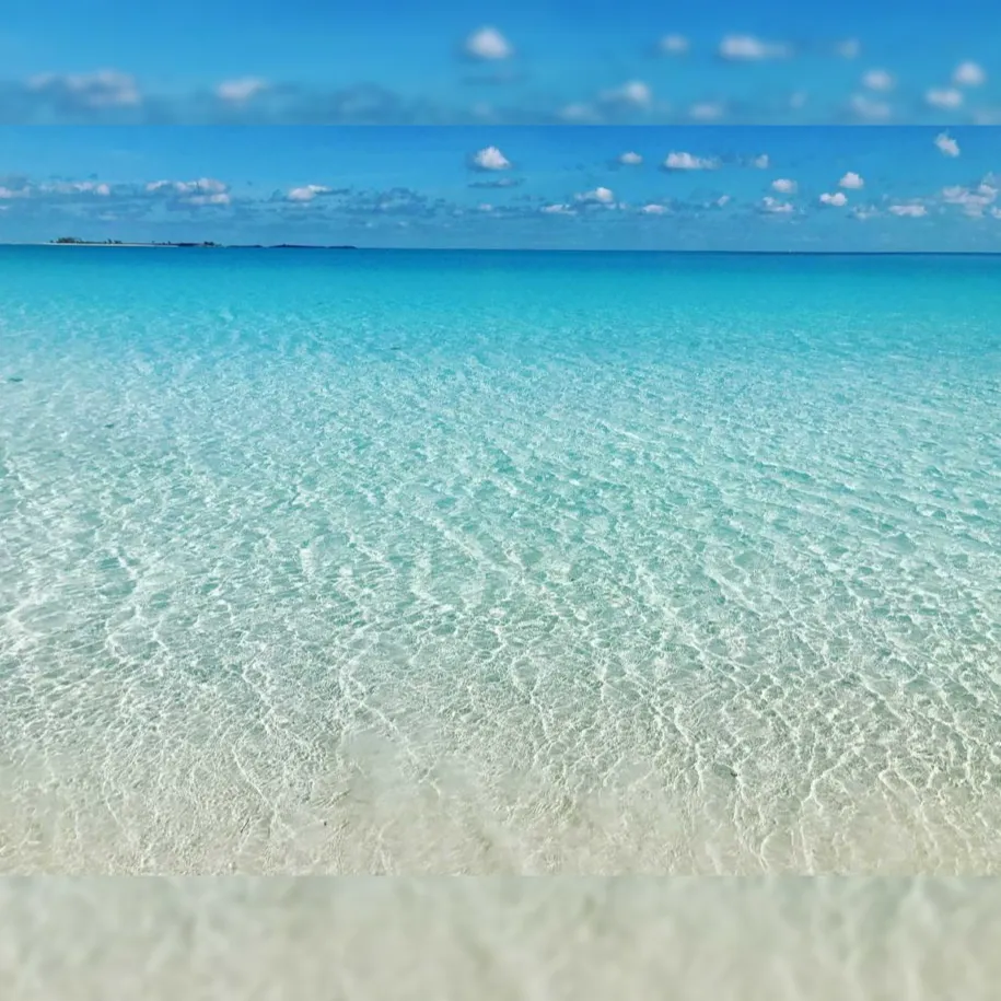 Tropical Waters