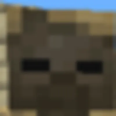better husk loot