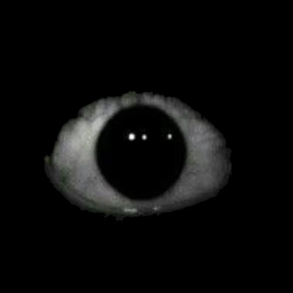 Eyes