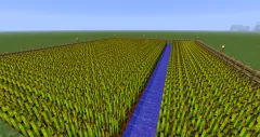 BetterFarm