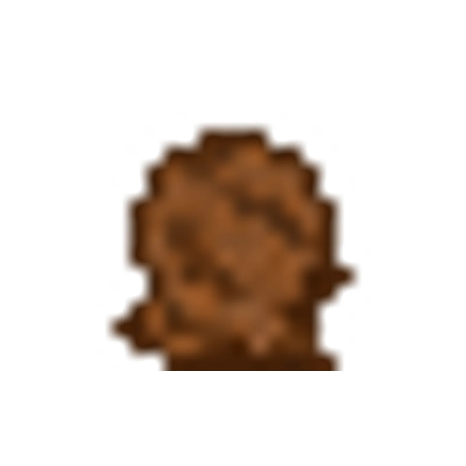 Real Poop Mod