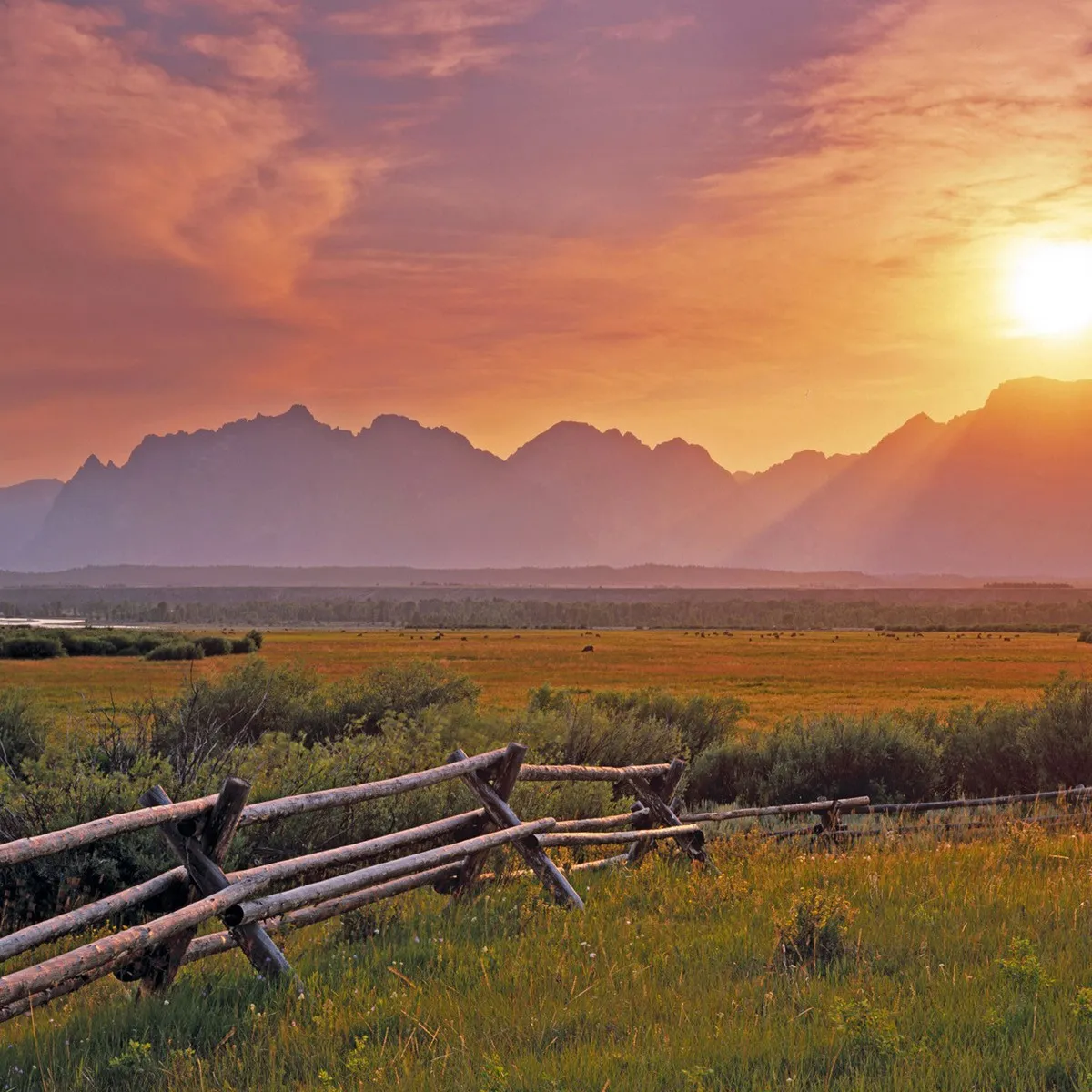 Neoforge Shaders Base