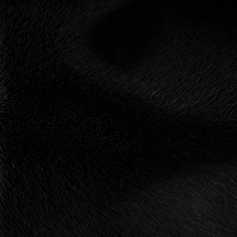 Parasites Apocalypse [ Apocalypse Themed Horror !]