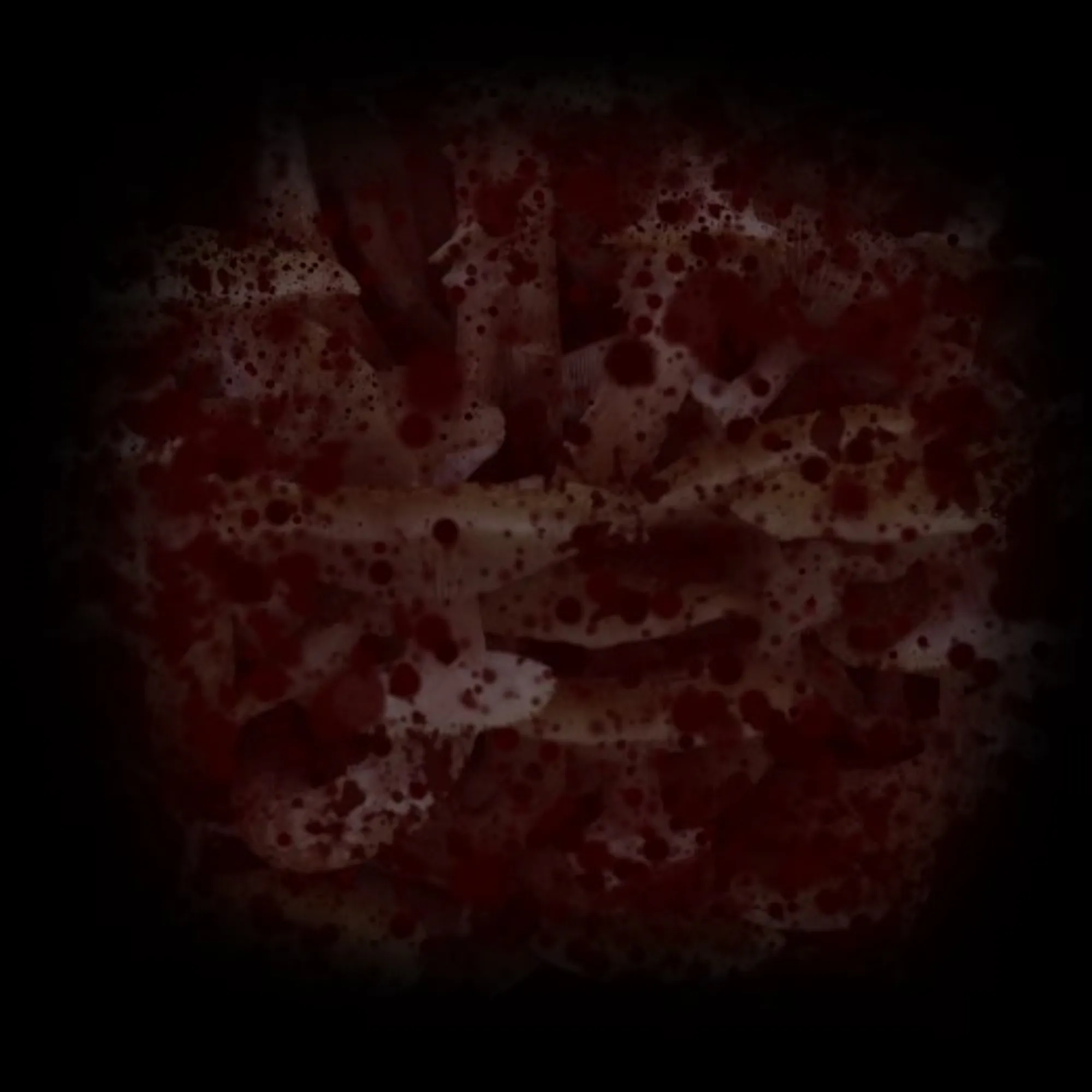 Spores