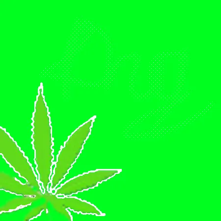WorkingDrugs