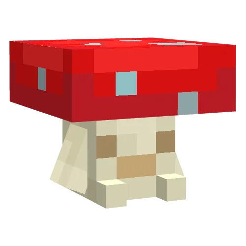 Mushroom's Paradise
