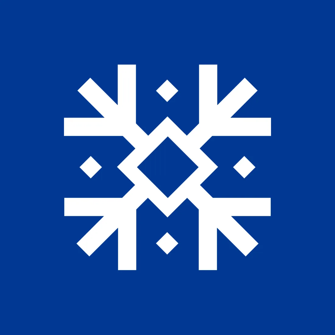 Medžuslovjansky projekt