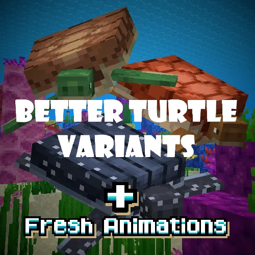 Fresh Better Turtle Variants