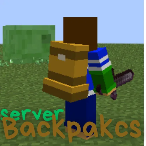 Server Backpack Texture