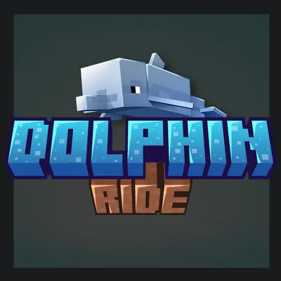 Dolphin Ride