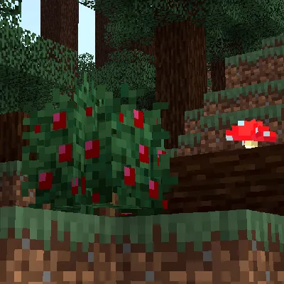 Enhanced Sweet Berry Bush