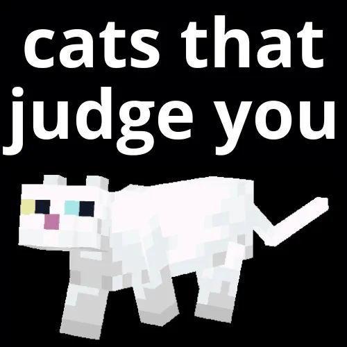 cats that judge you / gatos que te juzgan
