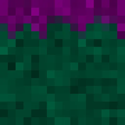 The Neverlands