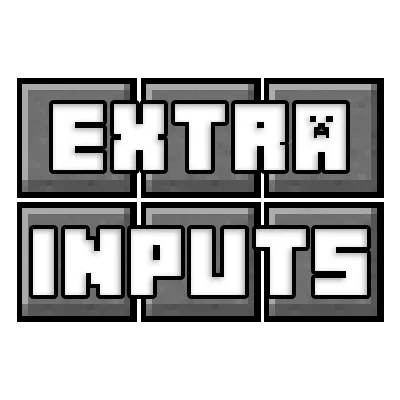 Extra Inputs