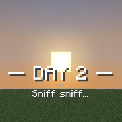 Standard Day Counter