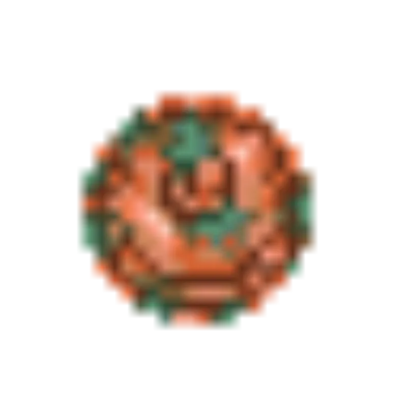 Rose Coin