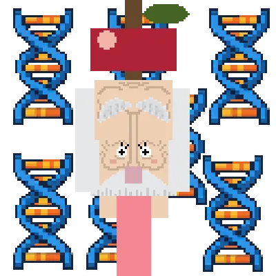 Non-fruit Rework MMNM