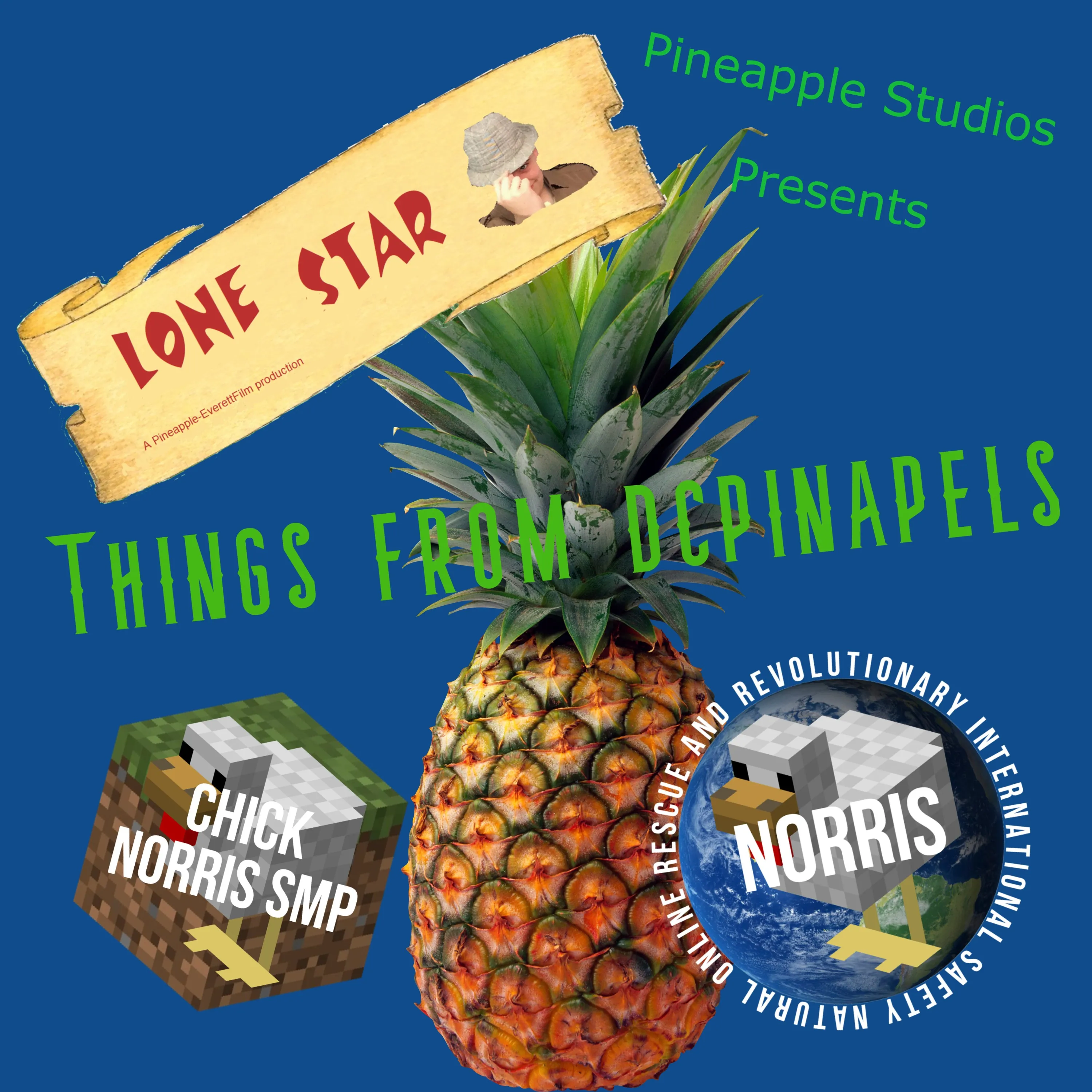 Pineapple Stuff's