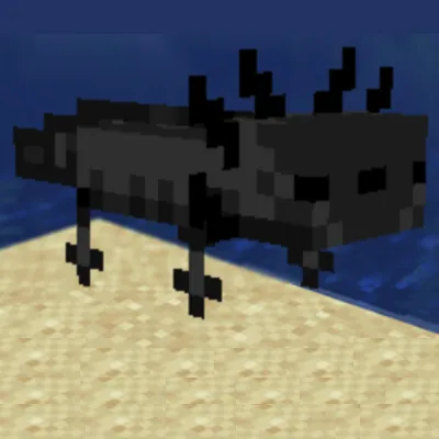 Black Axolotl