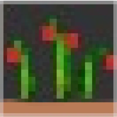 NewBiomes-9.0.0