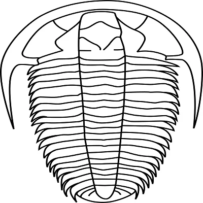 Trilobit