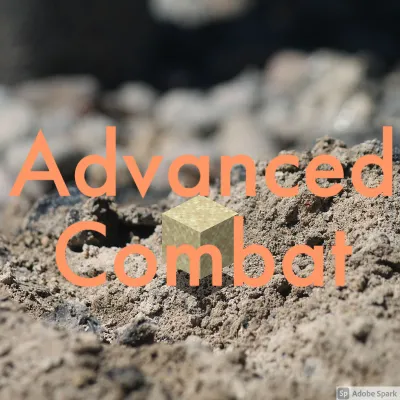 Technical Combat