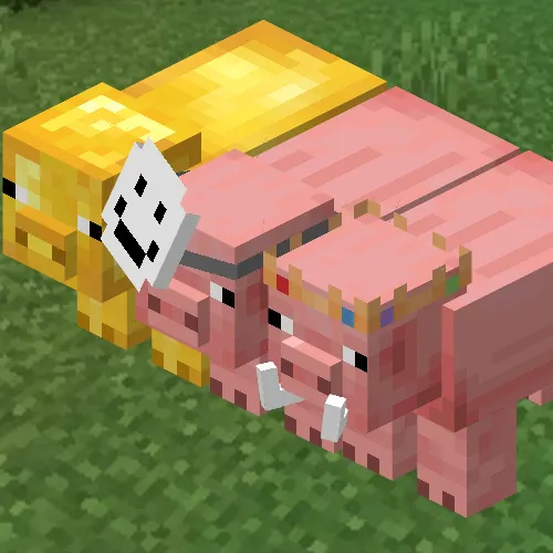 Anaor pigs