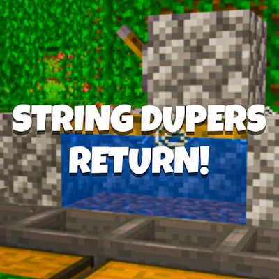 String Dupers Return