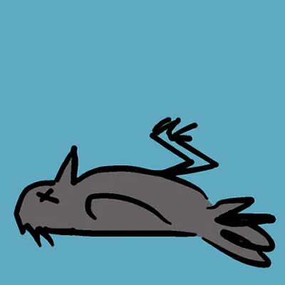 Bird Vision - Invisible Glass