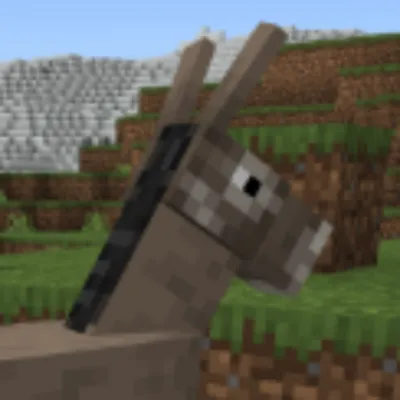 Donkeys pocket bags