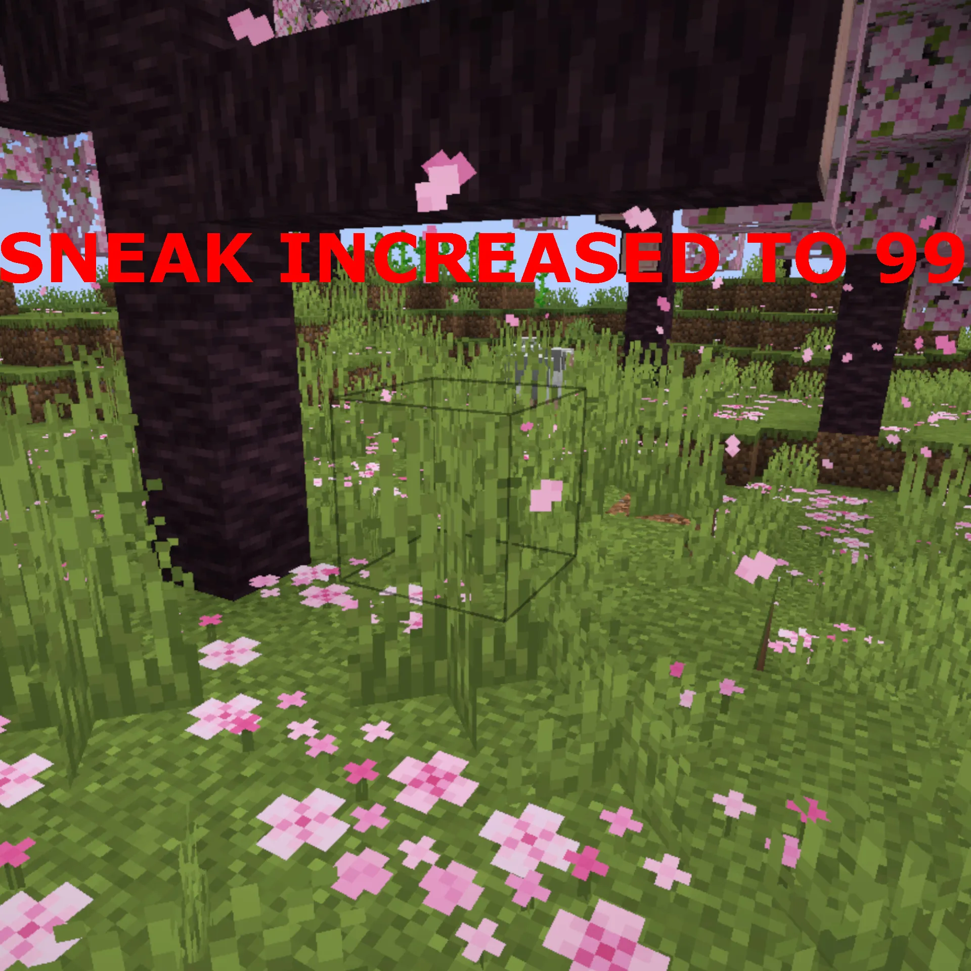 Sneaky Grass